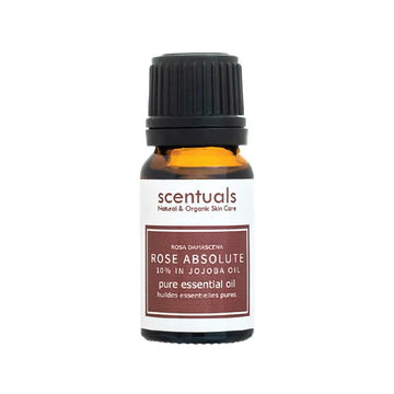 Rose Absolute Essential Oil 10%