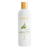 Rosemary Mint Shampoo