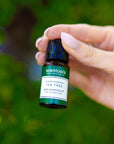 Tea Tree Essential Oil - Scentuals Natural & Organic Skin Care
