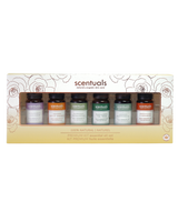 Premium Kit Essential Oil Set