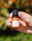 Cinnamon Essential Oil - Scentuals Natural & Organic Skin Care