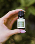 Clary Sage Luxury Oil - Scentuals Natural & Organic Skin Care