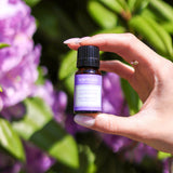 Lavender Essential Oil - Scentuals Natural & Organic Skin Care