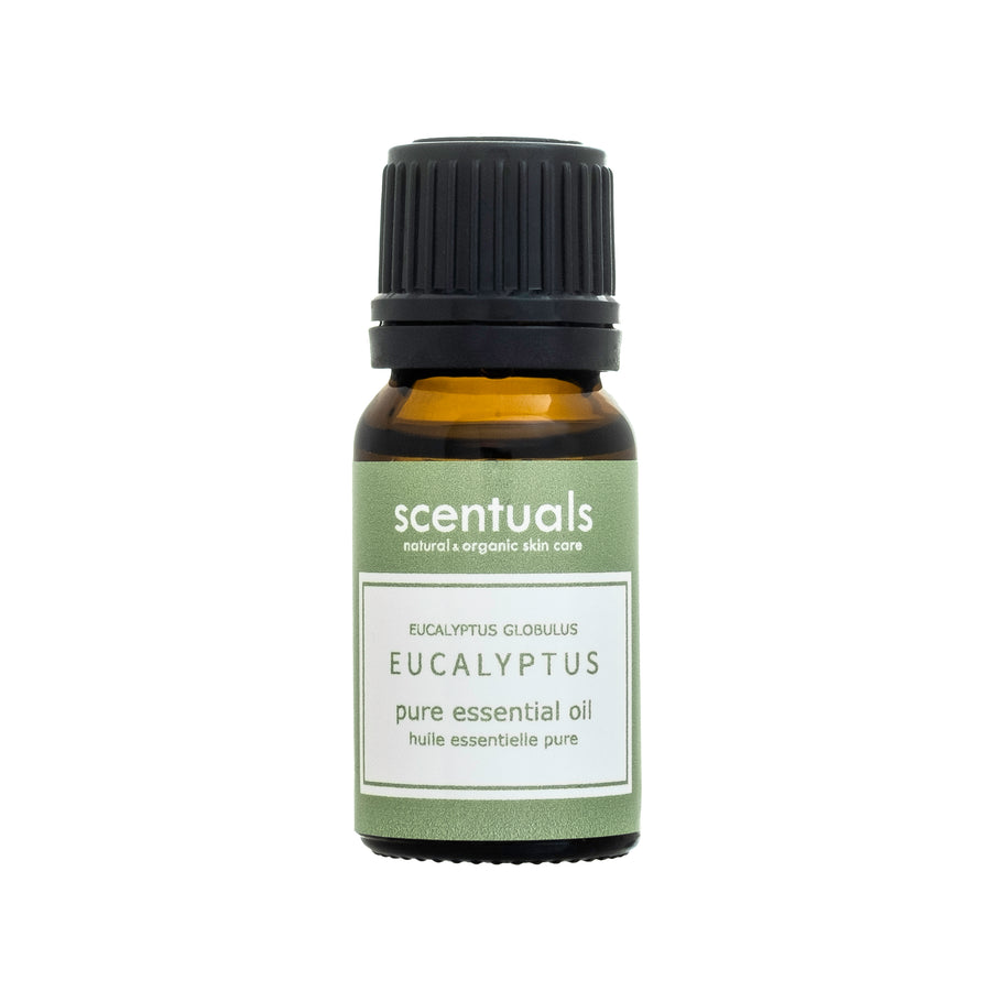Eucalyptus Essential Oil - Scentuals Natural & Organic Skin Care