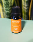 Sunshine Essential Oil Blend - Scentuals Natural & Organic Skin Care