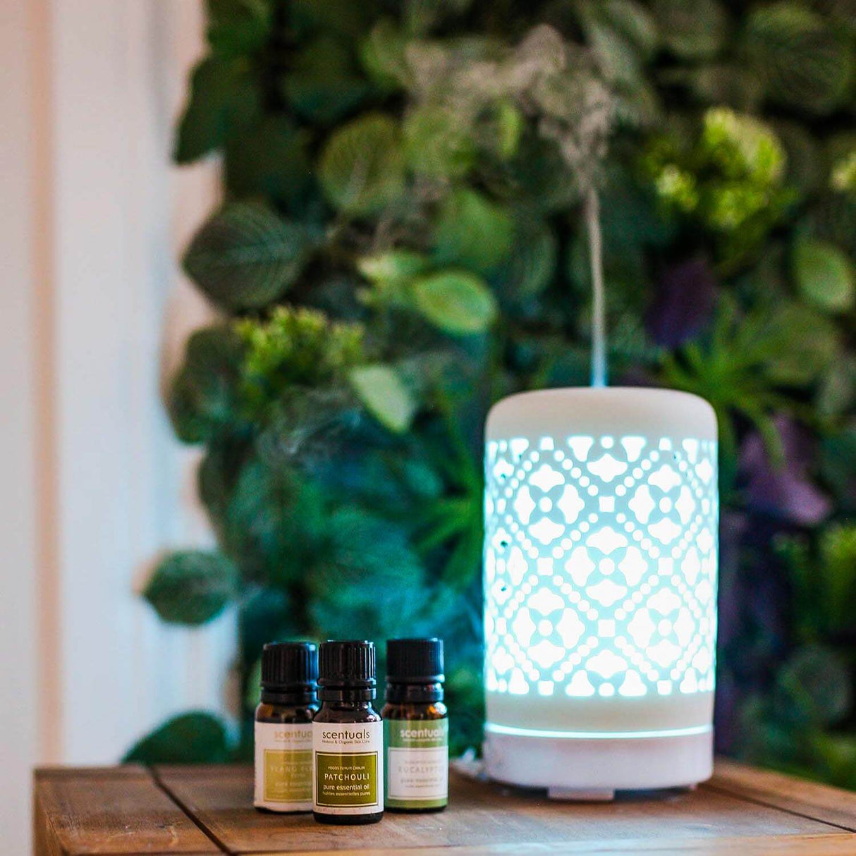 Enlighten Diffuser - Scentuals Natural & Organic Skin Care