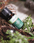 Fresh Evergreen Essential Oil - Scentuals Natural & Organic Skin Care