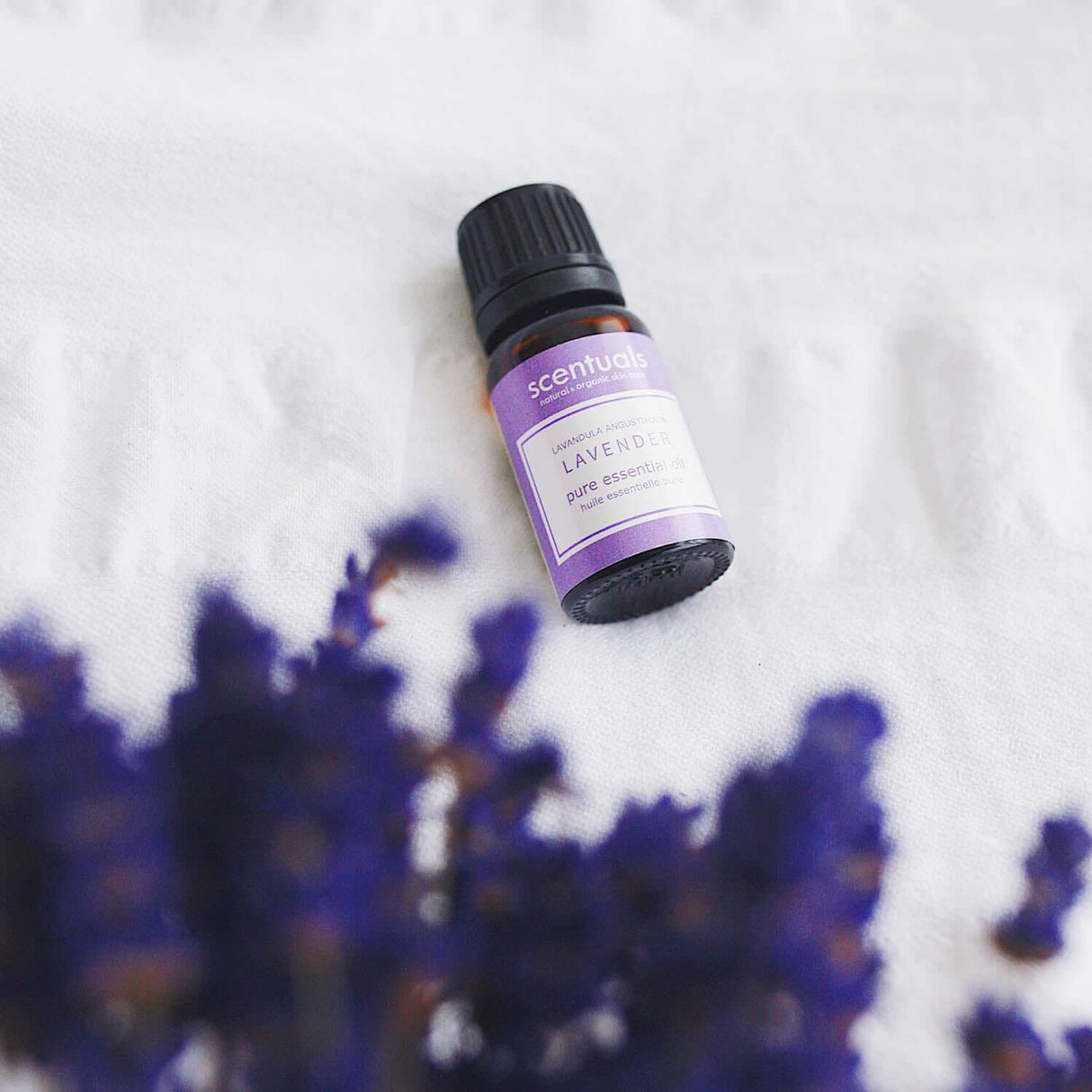 Lavender Essential Oil - Scentuals Natural & Organic Skin Care