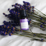 Lavender Essential Oil - Scentuals Natural & Organic Skin Care