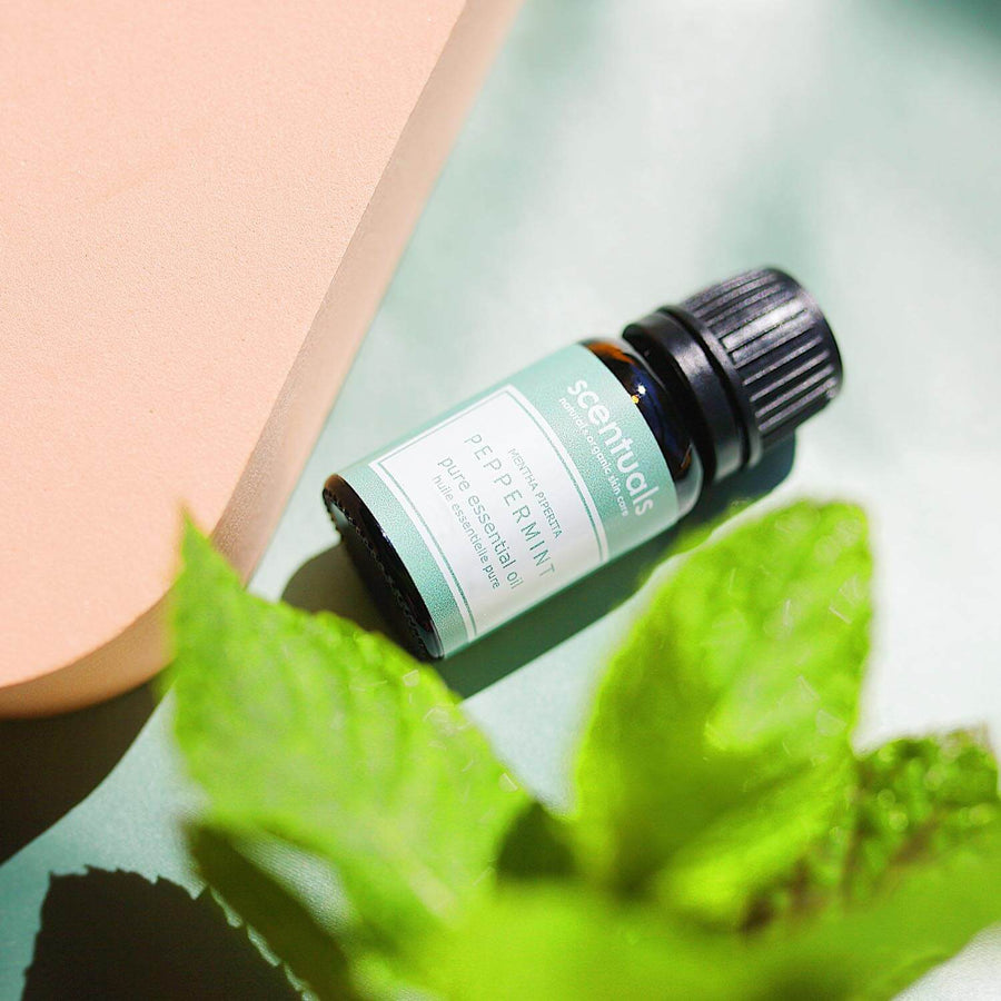 Peppermint Essential Oil - Scentuals Natural & Organic Skin Care