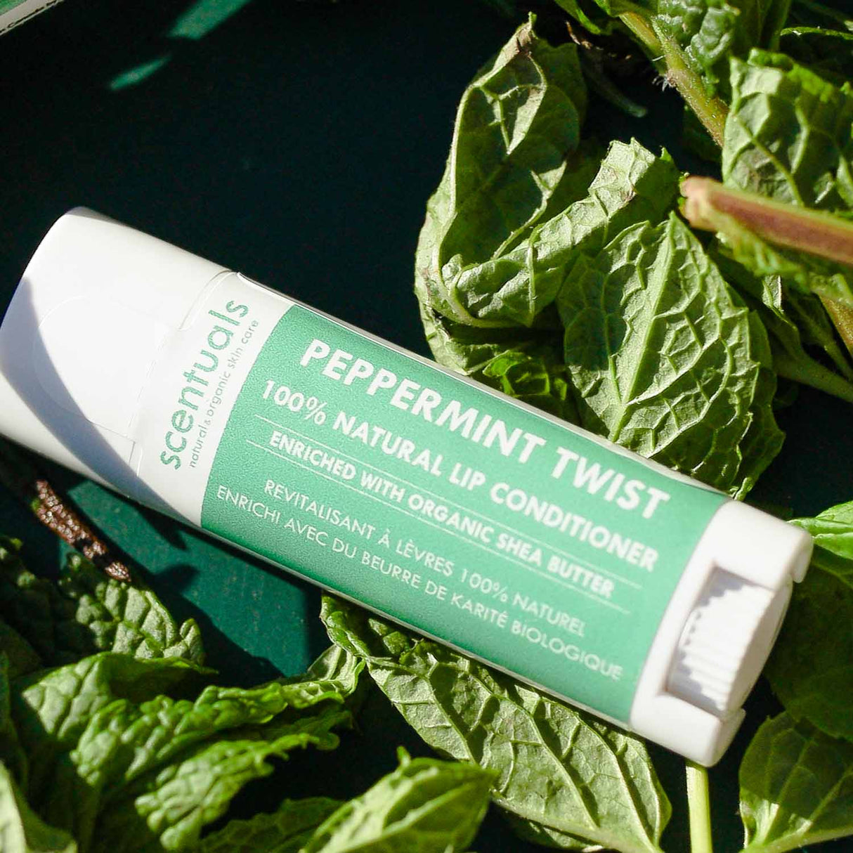 Peppermint Twist Lip Conditioner - Scentuals Natural & Organic Skin Care