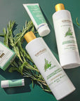 Rosemary Mint Conditioner - Scentuals Natural & Organic Skin Care