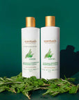 Rosemary Mint Shampoo - Scentuals Natural & Organic Skin Care