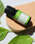 Sweet Basil Essential Oil - Scentuals Natural & Organic Skin Care