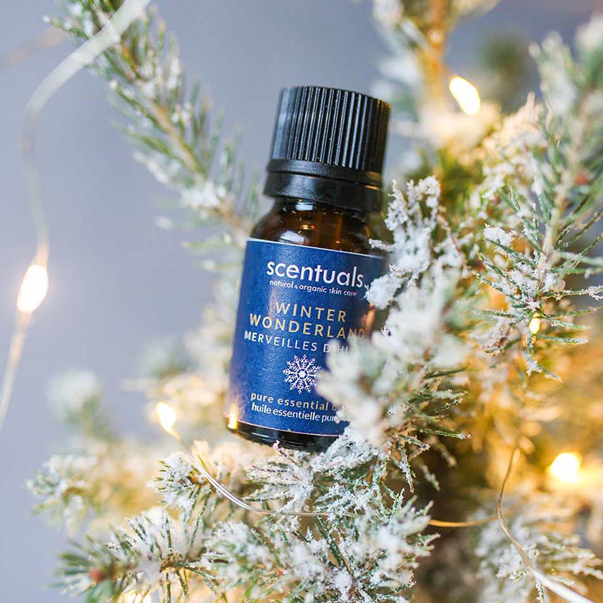 Winter Wonderland Essential Oil - Scentuals Natural & Organic Skin Care